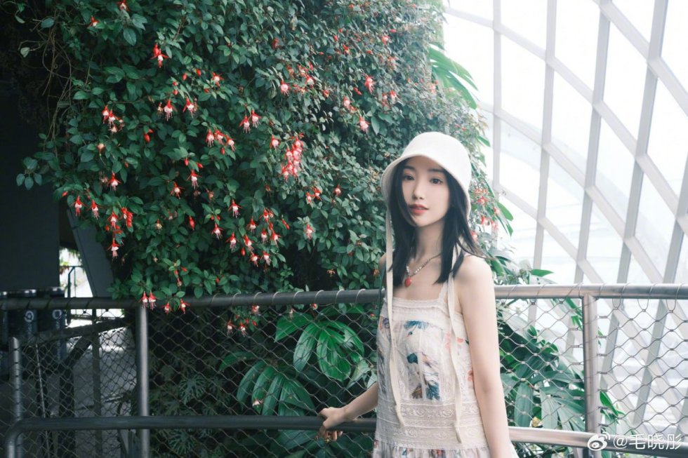 南京糖爹与大连包养小三的爆笑圆桌对话，揭秘包养圈的秘密