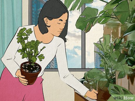 Step 5 Take up a new hobby to keep yourself busy.